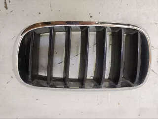 51117316075 Решетка радиатора BMW X5 F15 Арт lz197963, вид 1