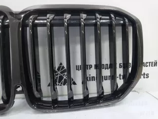 51138745730 Решетка радиатора BMW X7 g07 Арт TP58608, вид 2