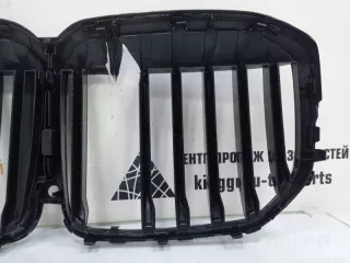 51138745730 Решетка радиатора BMW X7 g07 Арт TP58608, вид 7