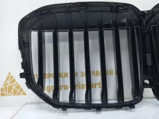 51138745730 Решетка радиатора BMW X7 g07 Арт TP58608, вид 8