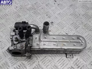 03g131513j Охладитель отработанных газов Volkswagen Touran 1 Арт 54374793, вид 1