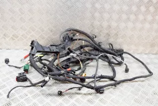 1EA971824, TAB016490, 12E010867N , art8302203 Проводка двигателя Volkswagen ID3 Арт 8302203, вид 2