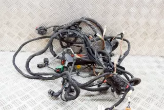 1EA971824, TAB016490, 12E010867N , art8302203 Проводка двигателя Volkswagen ID3 Арт 8302203, вид 3