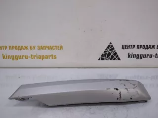 51117421988 Накладка решетки бампера BMW X3 G01 Арт TP59956, вид 1