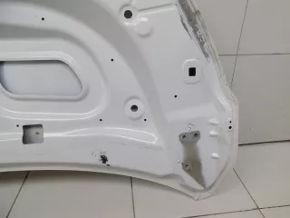 651001118r Капот Renault Kaptur Арт BBBs230504100, вид 18