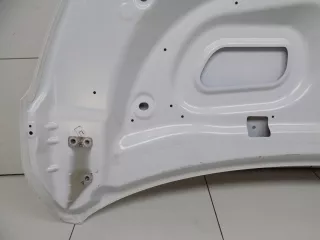 651001118r Капот Renault Kaptur Арт BBBs230504100, вид 20
