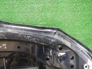 41617427501 Капот BMW 7 G11/G12 Арт 0000003440759, вид 9