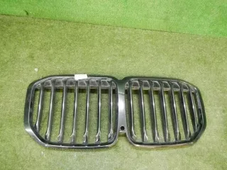 51138745730 Решетка радиатора BMW X7 g07 Арт 0000003434109, вид 1