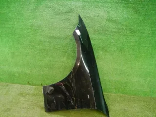 41008494439 Крыло переднее левое BMW 3 G20/G21 Арт 0000004230175, вид 1