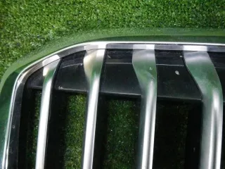 51137454895 Решетка радиатора BMW X7 g07 Арт 0000004368267, вид 7