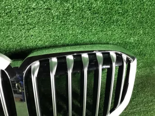 51137454895 Решетка радиатора BMW X7 g07 Арт С964, вид 2