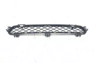 7210466 , art8805907 Заглушка (решетка) в бампер передний Volkswagen Passat B6 Арт 8805907, вид 1