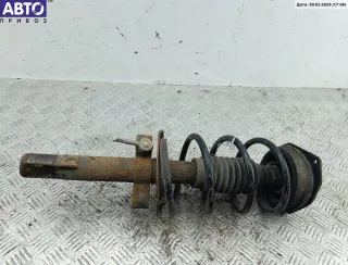  Стойка подвески передняя правая Renault Megane 2 Арт 54288425, вид 1