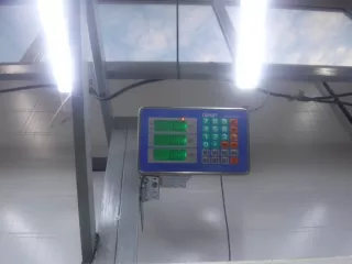 181379 Опора КПП Citroen C4 1 Арт 698596, вид 2