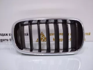 7316076 Решетка радиатора BMW X5 F15 Арт TP63731, вид 1