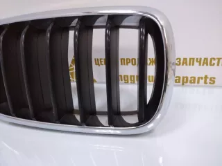 7316076 Решетка радиатора BMW X5 F15 Арт TP63731, вид 4