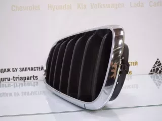 7316076 Решетка радиатора BMW X5 F15 Арт TP63731, вид 6