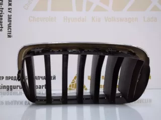 7316076 Решетка радиатора BMW X5 F15 Арт TP63731, вид 7