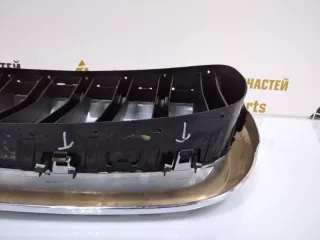 7316076 Решетка радиатора BMW X5 F15 Арт TP63731, вид 9