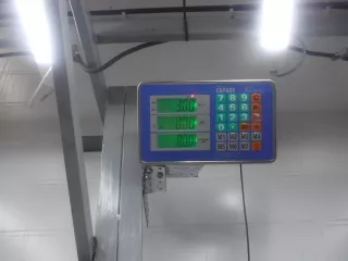 BN8W57KM0  Подушка безопасности боковая (шторка) правая Mazda 3 BK Арт BIT699729, вид 2