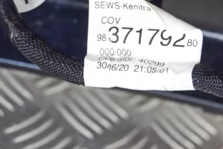 9837179280, 9828080080 , art8946066 Накладка подсветки номера Peugeot 2008 Арт 8946066, вид 6
