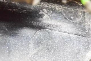 9837179280, 9828080080 , art8946066 Накладка подсветки номера Peugeot 2008 Арт 8946066, вид 9