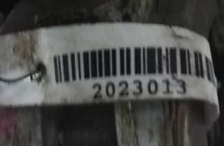 FS06-10-100 головка блока цилиндров Mazda 626 GE 2.0л i Арт 2023013, вид 5