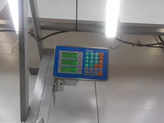 BN8W57KM0  Подушка безопасности боковая (шторка) правая Mazda 3 BK Арт BIT704696, вид 3