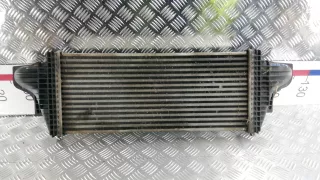 A2515000000 Радиатор интеркулера Mercedes ML W164 Арт OVN11KC01, вид 5
