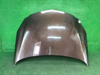13276949 Капот Opel Insignia 1 Арт 0000005904440, вид 1