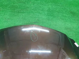 13276949 Капот Opel Insignia 1 Арт 0000005904440, вид 4