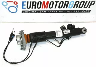 013642, 33527850214 , artEMG4838 Амортизатор задний BMW X6 F86 Арт EMG4838, вид 2
