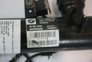 013642, 33527850214 , artEMG4838 Амортизатор задний BMW X6 F86 Арт EMG4838, вид 10