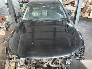 lz9w , artAST8283 Капот Audi A8 D3 (S8) Арт AST8283, вид 1