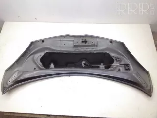 artPAC8173 Капот Toyota Aygo 1 Арт PAC8173, вид 1