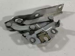3c0823301e , artTES4295 Петля капота Volkswagen Passat B6 Арт TES4295, вид 1