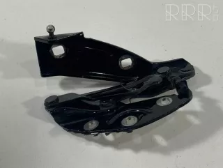 3d0823302f , artTES4323 Петля капота Volkswagen Phaeton Арт TES4323, вид 1