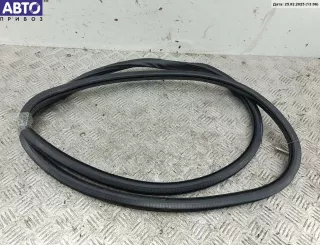  Уплотнитель двери задней левой Volkswagen Passat B6 Арт 54301233