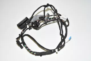 9286250 , art929061 Проводка двери BMW 3 F30/F31/GT F34 Арт 929061, вид 2