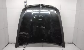 41617273439 Капот BMW X5 E53 Арт A993480K, вид 1