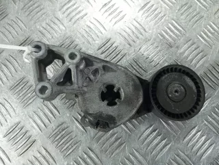 06A903315F Натяжитель ремня генератора Volkswagen Golf 5 Арт 87562.19, вид 1
