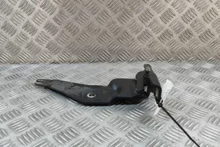 7208627 , art9900723 Петля капота BMW X5 E70 Арт 9900723, вид 6