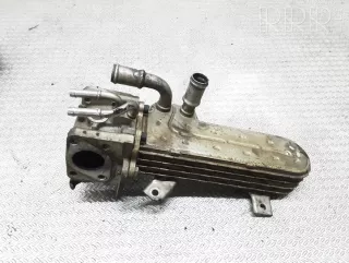 038131513ad , artDEV311837 Охладитель отработанных газов Volkswagen Golf 5 Арт DEV311837, вид 1
