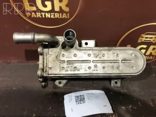 038131513ad , artLGR4371 Охладитель отработанных газов Volkswagen Golf 5 Арт LGR4371, вид 1