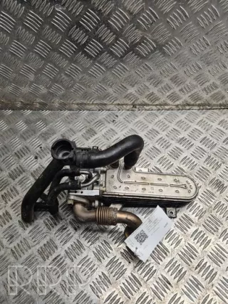 038131513ad, 3210275 , artDRA16353 Охладитель отработанных газов Volkswagen Golf 5 Арт DRA16353, вид 1