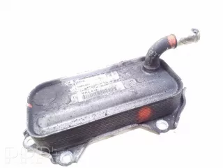 880243d, 157100r01000 , artARA195852 Охладитель отработанных газов Toyota Avensis 2 Арт ARA195852, вид 1