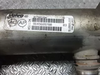 9645689780 , artDEV249179 Охладитель отработанных газов Peugeot 407 Арт DEV249179, вид 2