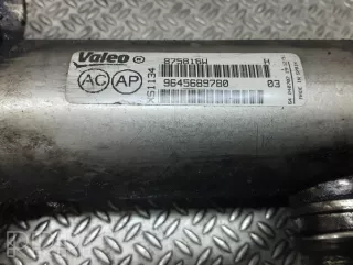 9645689780 , artDEV249482 Охладитель отработанных газов Peugeot 407 Арт DEV249482, вид 2