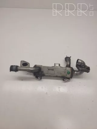 038131513l, 038131513l , artDRA11018 Охладитель отработанных газов Ford Galaxy 1 restailing Арт DRA11018, вид 1