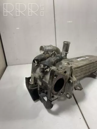 038131513ad , artRDJ12699 Охладитель отработанных газов Skoda Octavia A5 Арт RDJ12699, вид 2